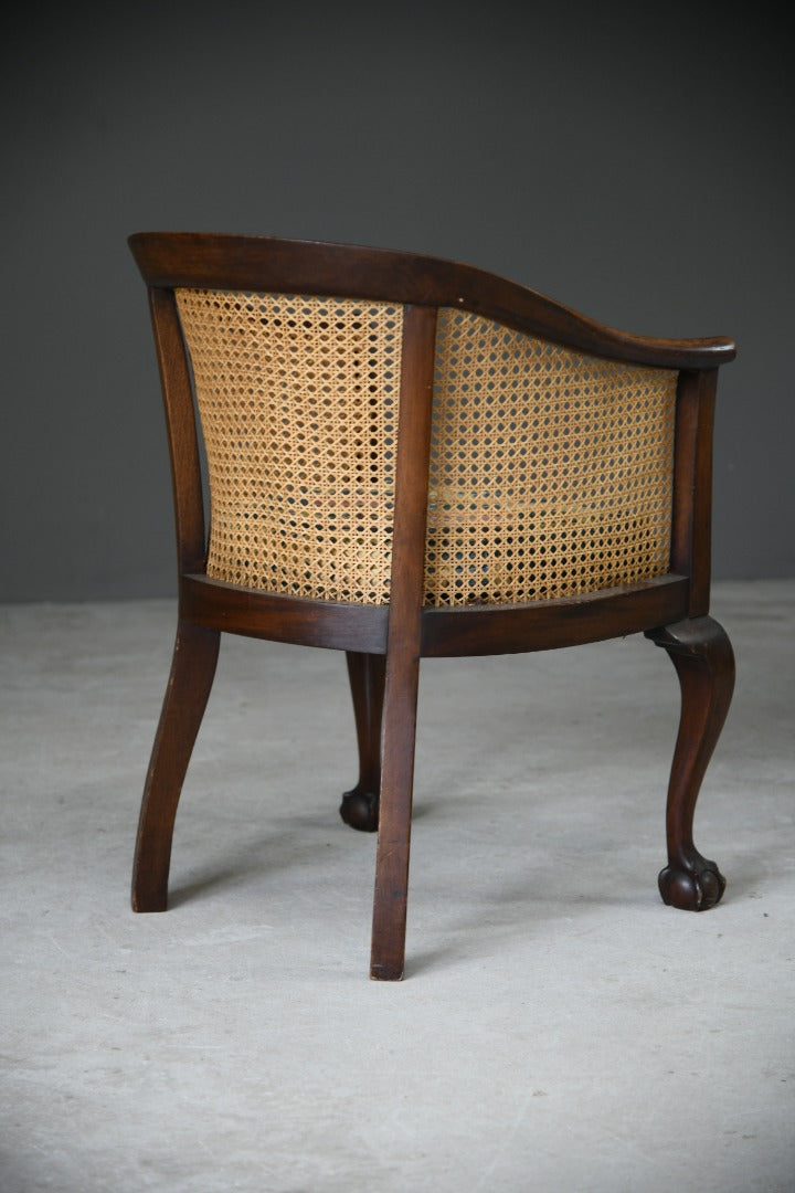 Mahogany Bergere Chair