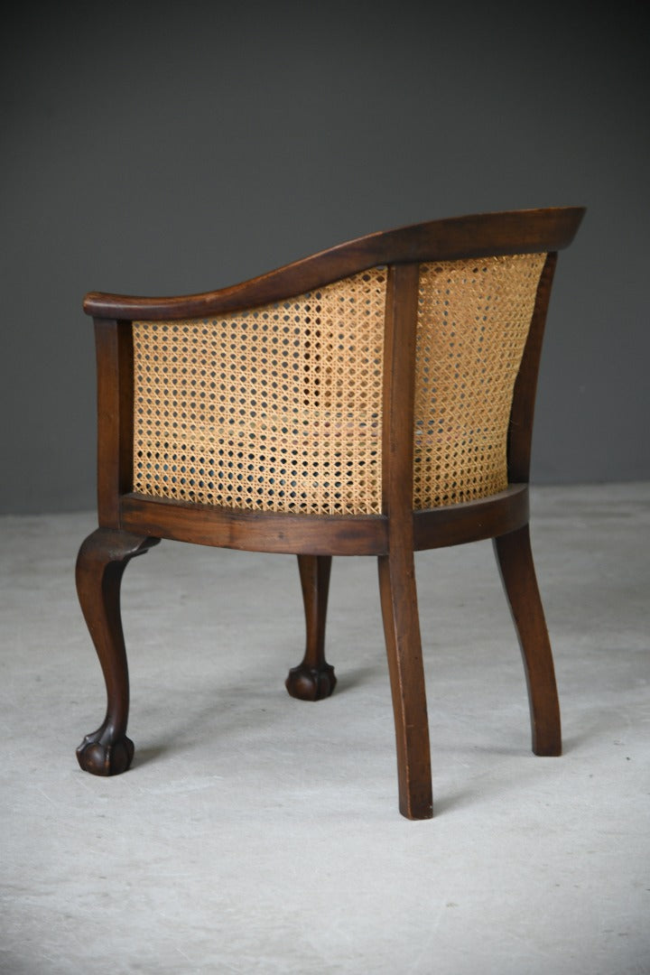 Mahogany Bergere Chair