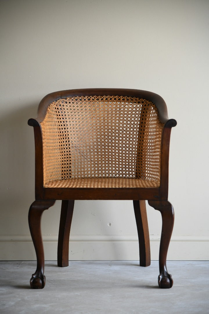 Mahogany Bergere Chair