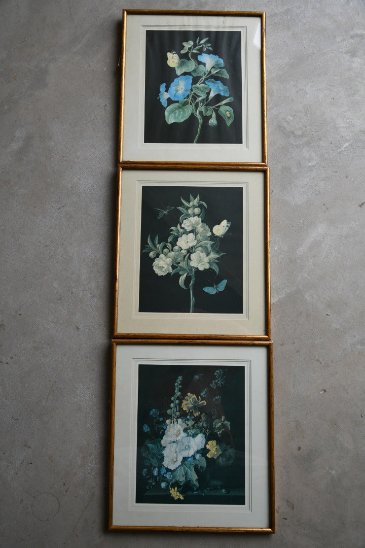 3 Vintage Floral Prints