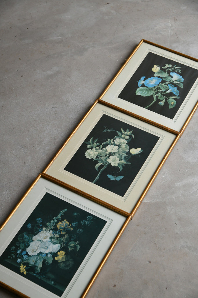 3 Vintage Floral Prints