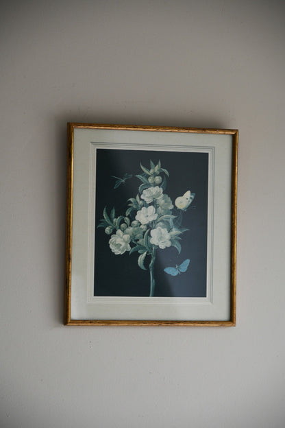 3 Vintage Floral Prints