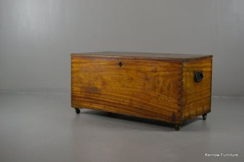 Antique Polished Camphor Wood Trunk - Kernow Furniture