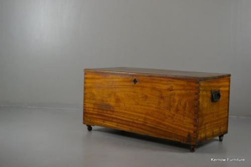 Antique Polished Camphor Wood Trunk - Kernow Furniture