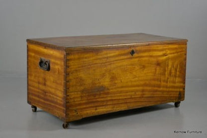 Antique Polished Camphor Wood Trunk - Kernow Furniture