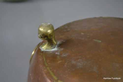 Antique Copper & Brass Coal Bucket Lion Mask Handles - Kernow Furniture