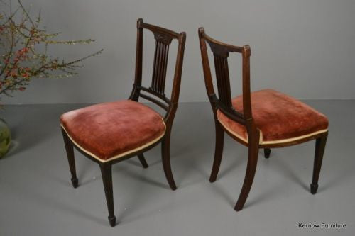 Pair Antique Sheraton Style Dining Chairs - Kernow Furniture