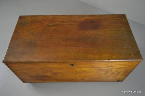 Antique Polished Camphor Wood Trunk - Kernow Furniture