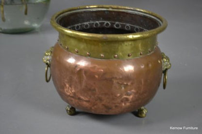 Antique Copper & Brass Coal Bucket Lion Mask Handles - Kernow Furniture