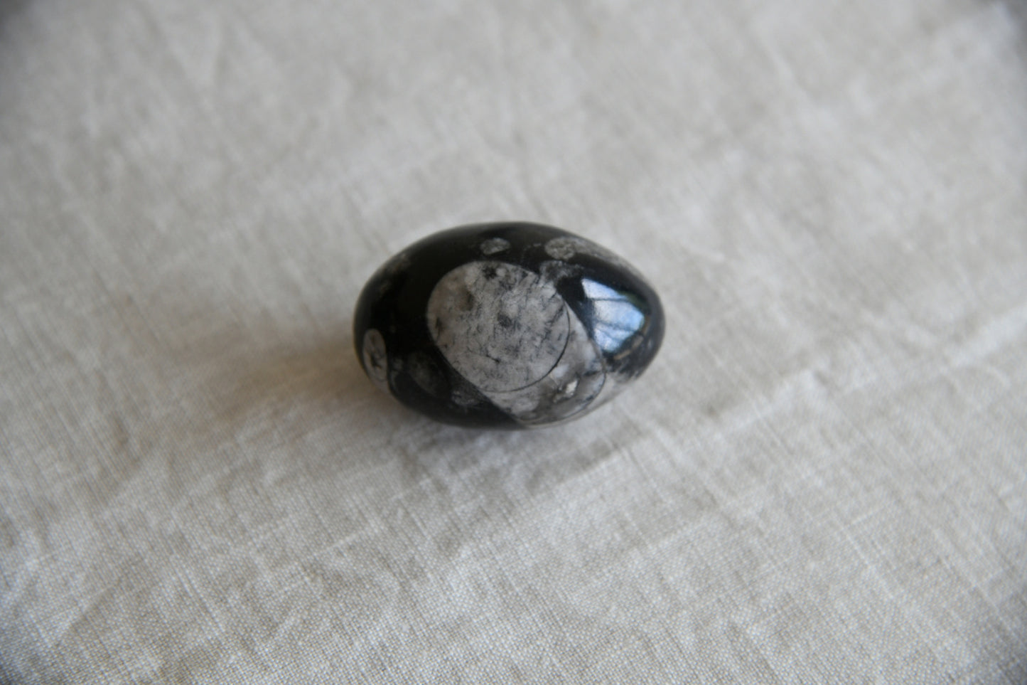 Collection Polished Stone Eggs