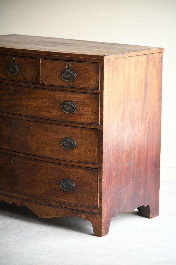 Antique Mahogany Bow Front Chest of Drawers