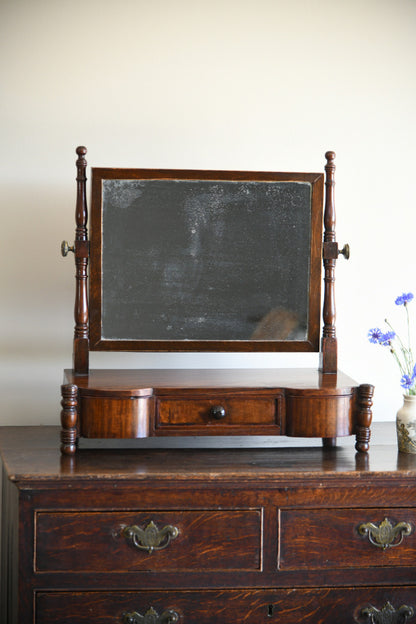 Antique Toilet Mirror