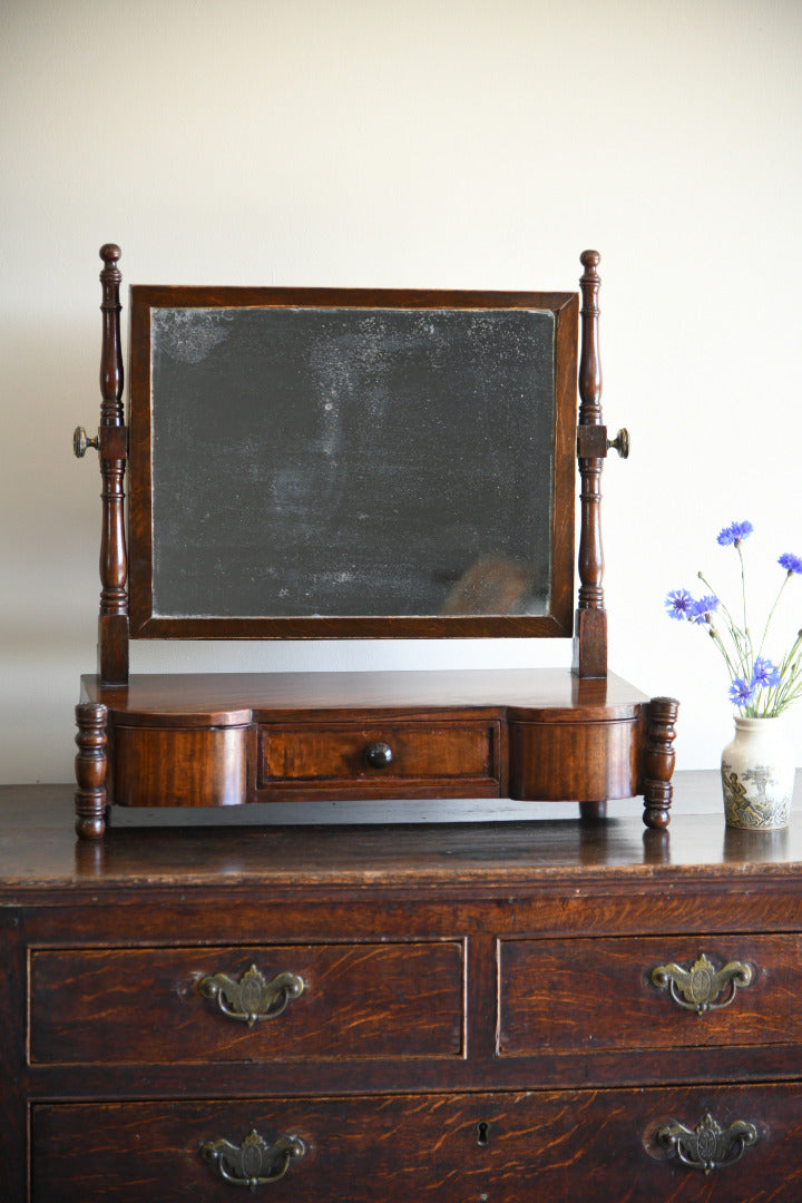 Antique Toilet Mirror