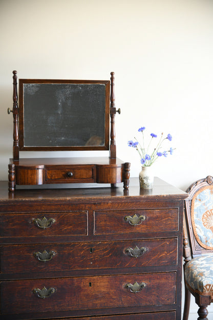 Antique Toilet Mirror