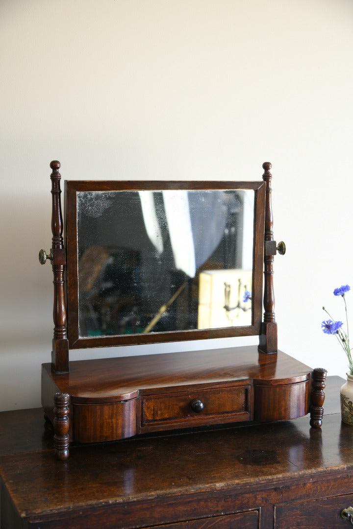 Antique Toilet Mirror