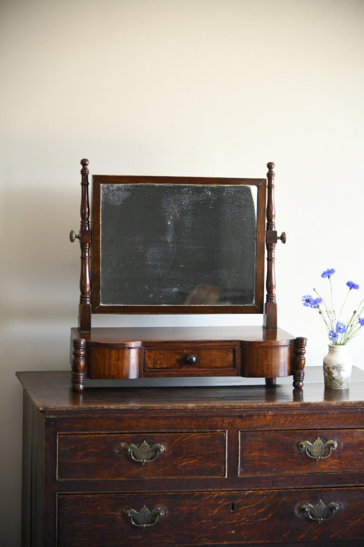 Antique Toilet Mirror