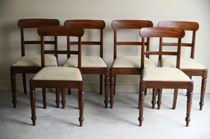 Set 6 Antique Mahogany Dining Chairs