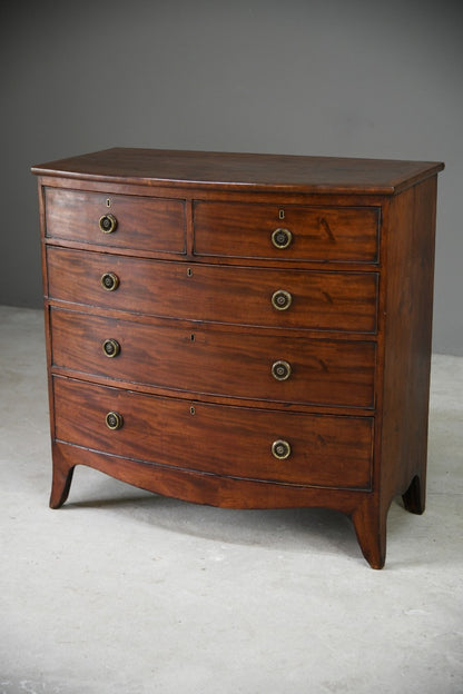 Mahogany Bow Front Chest of Drawers