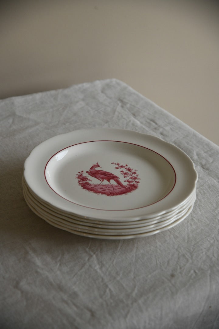 6 x Copeland Spode Red Pheasant Dinner Plates