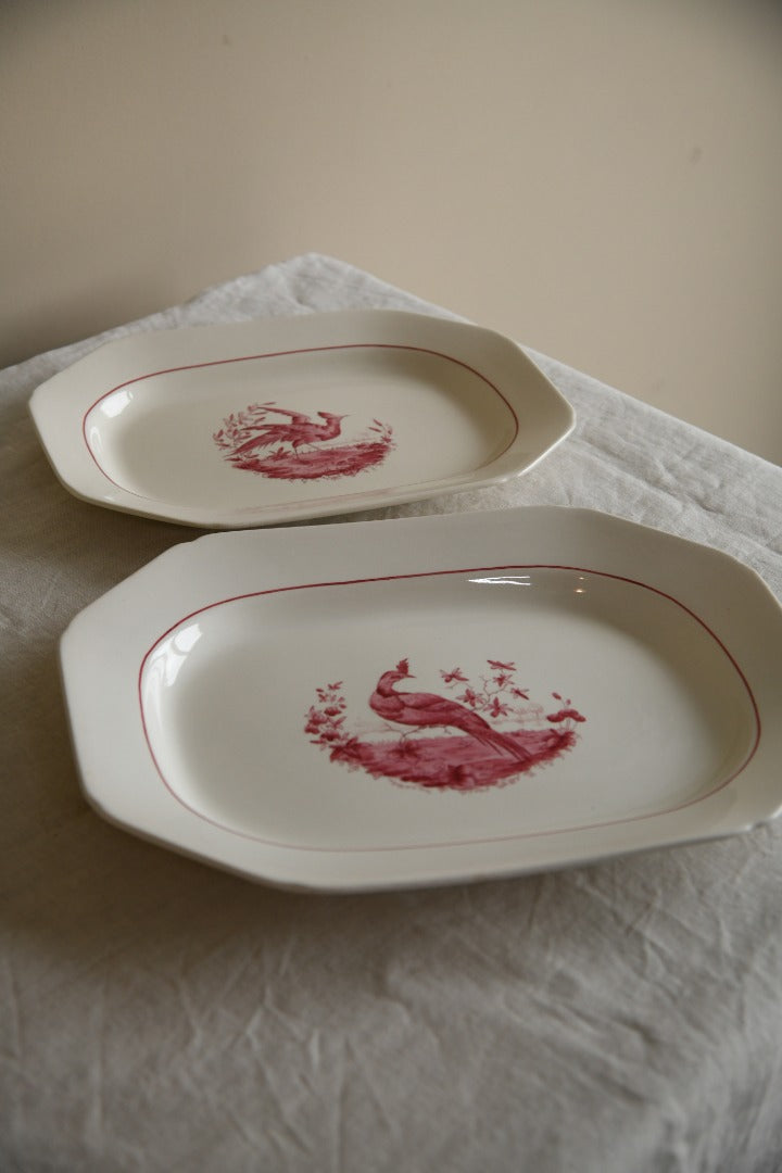 Pair Copeland Spode Red Pheasant Meat Plates