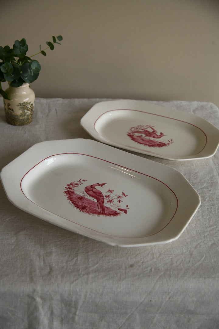 Pair Copeland Spode Red Pheasant Meat Plates