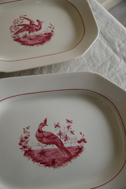 Pair Copeland Spode Red Pheasant Meat Plates