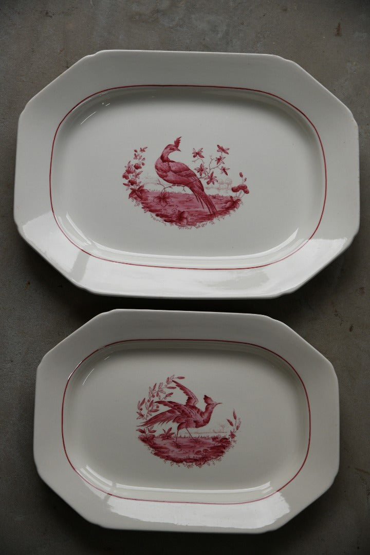 Pair Copeland Spode Red Pheasant Meat Plates