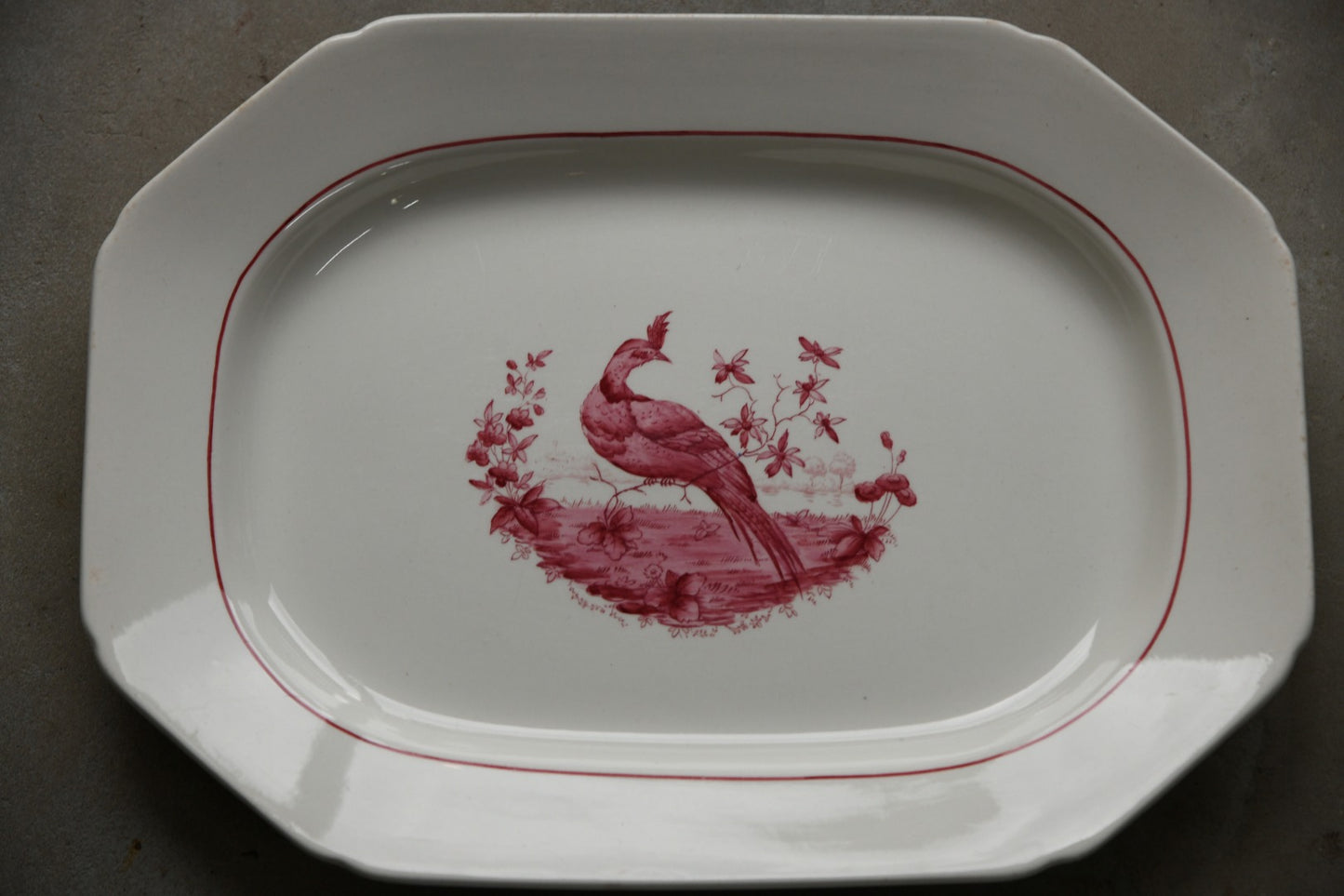 Pair Copeland Spode Red Pheasant Meat Plates