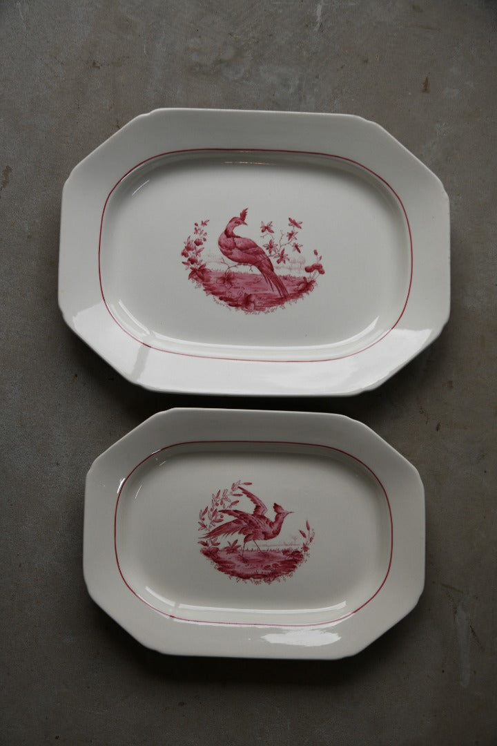 Pair Copeland Spode Red Pheasant Meat Plates