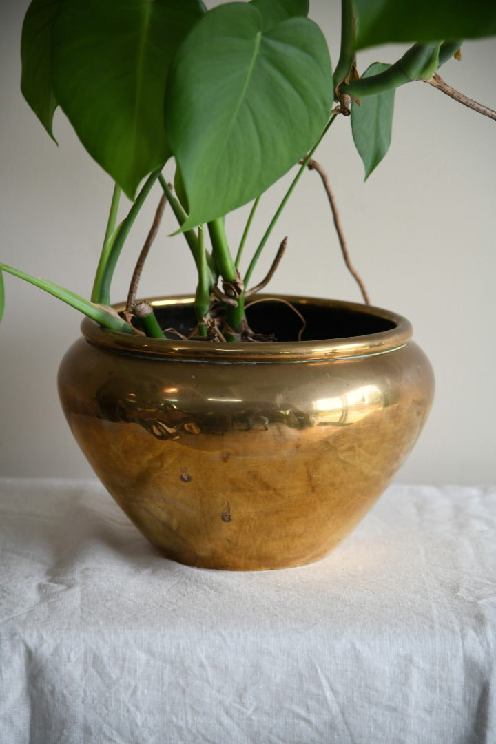 Large Brass Jardinere