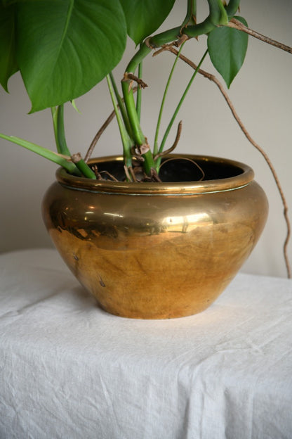 Large Brass Jardinere