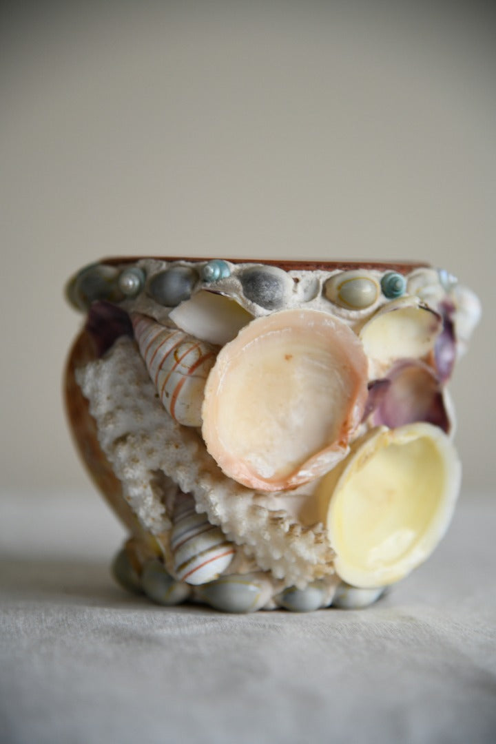 kitsch plant pot Kitsch Shell Plant Pot – Kernow Furniture