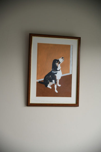 Dog Portrait
