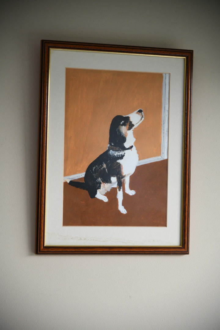 Dog Portrait