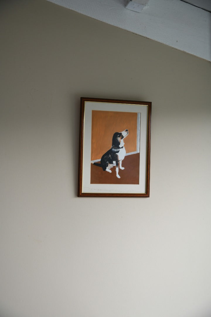 Dog Portrait