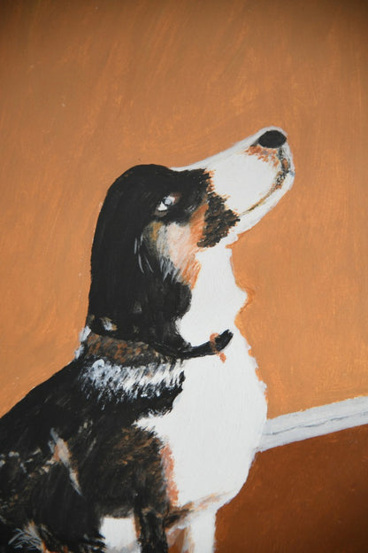 Dog Portrait