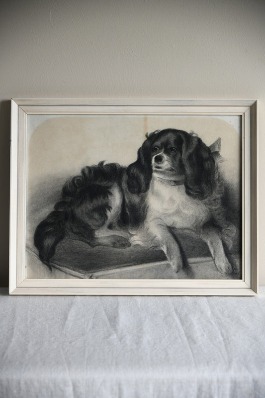 King Charles Spaniel Charcoal