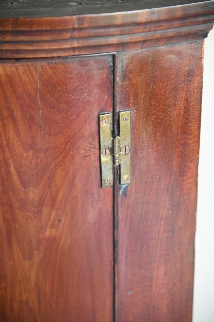 Georgian Mahogany Bow Front Cupboard