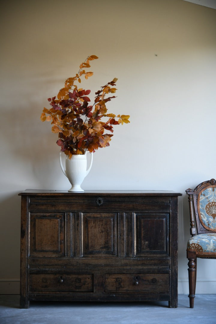 Antique Oak Mule Chest