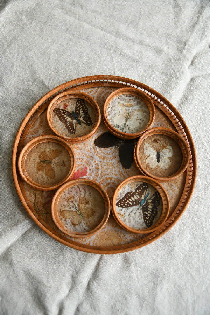 Vintage Butterfly Tray & Coasters