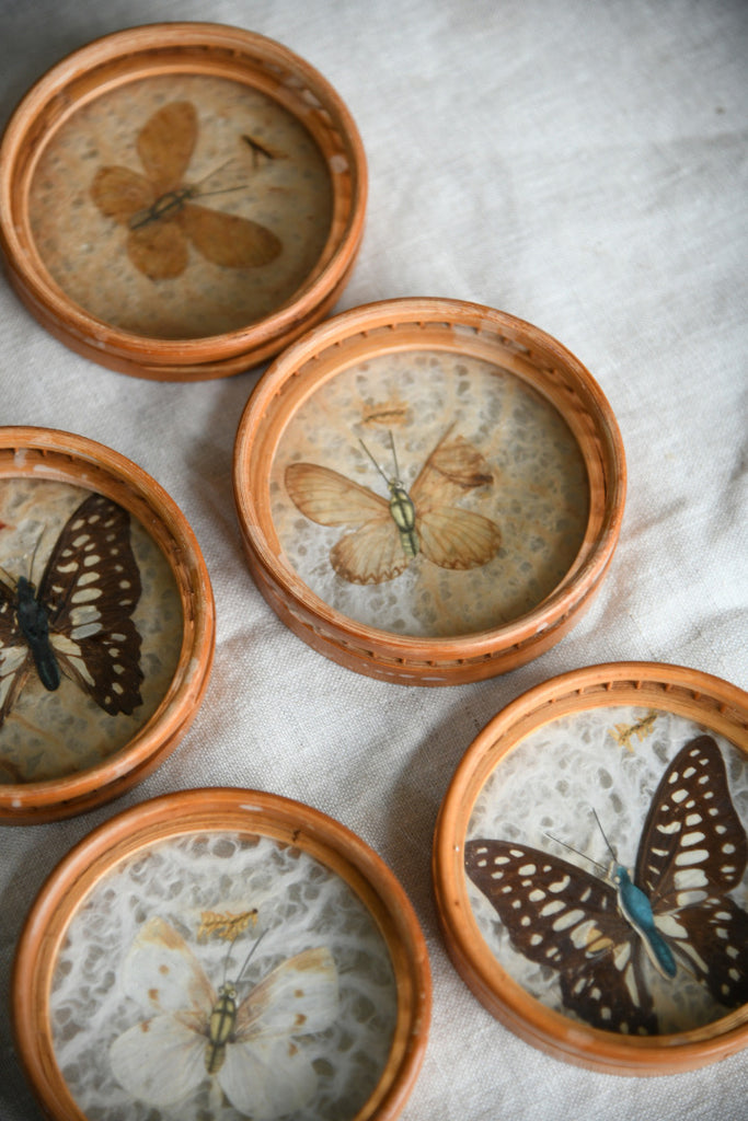 Vintage Butterfly Tray & Coasters