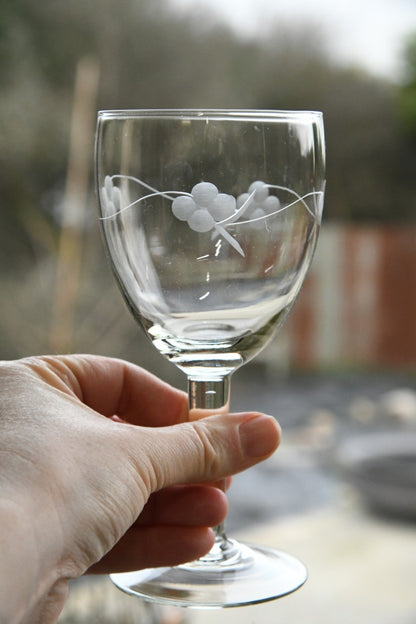 5 Etched Wine Glasses