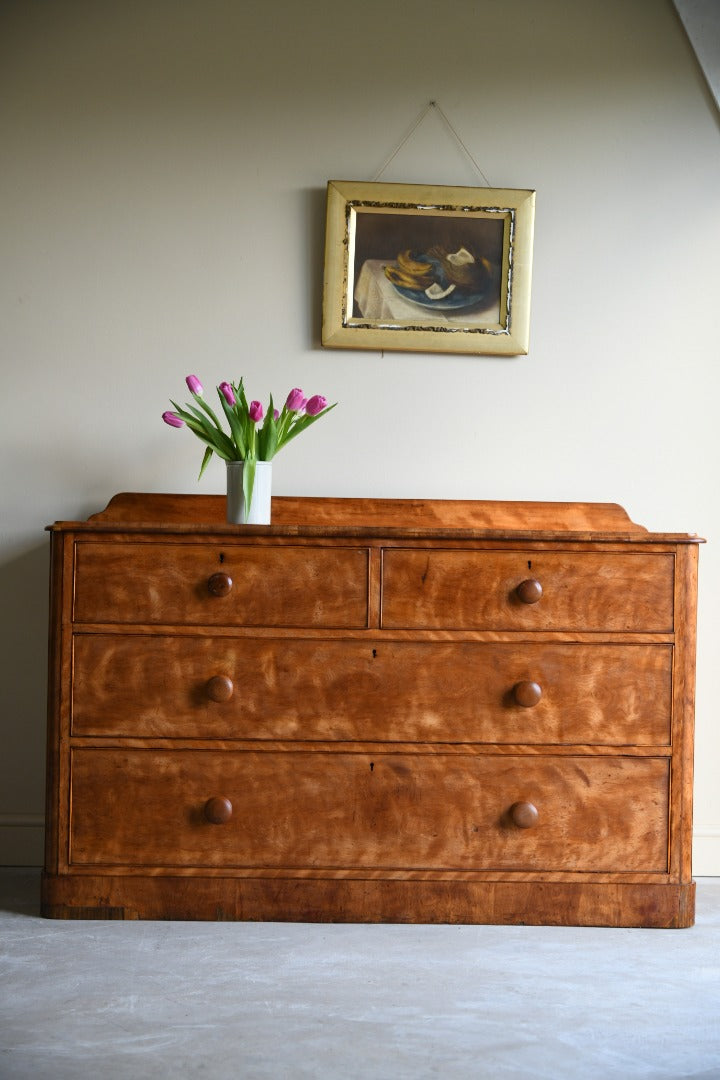 Antique Satin Birch Chest of Drawers