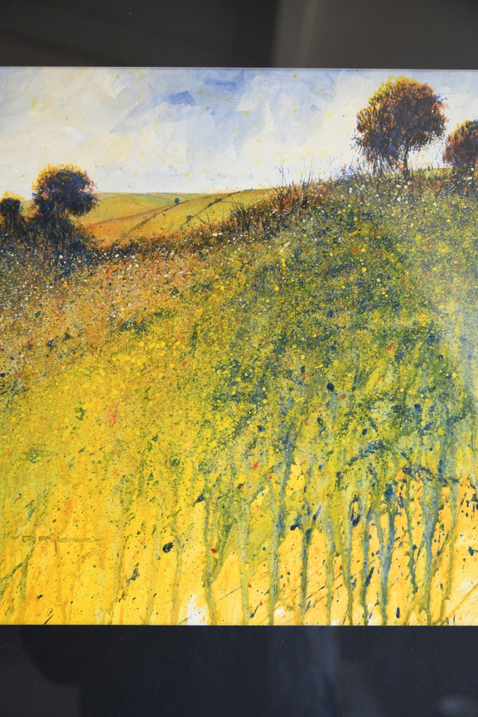 David Rylance - Wildflower Meadow