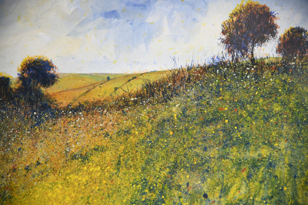 David Rylance - Wildflower Meadow