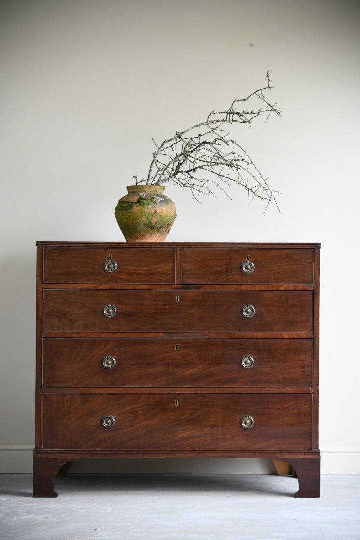 Short and wide store chest of drawers