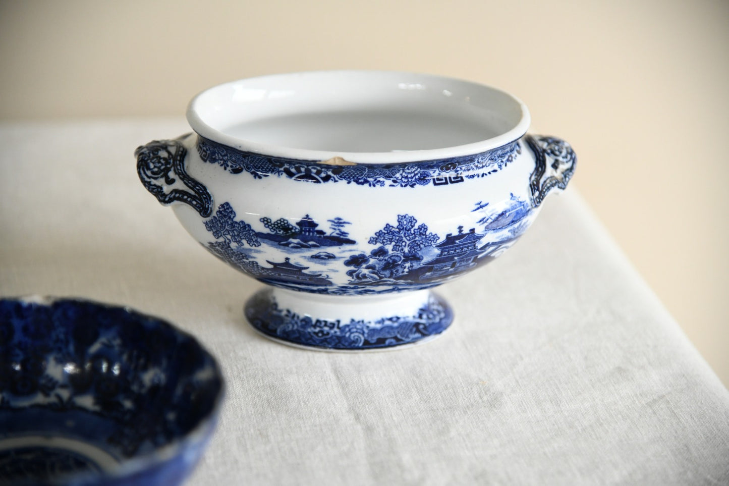 Blue & White Bowls