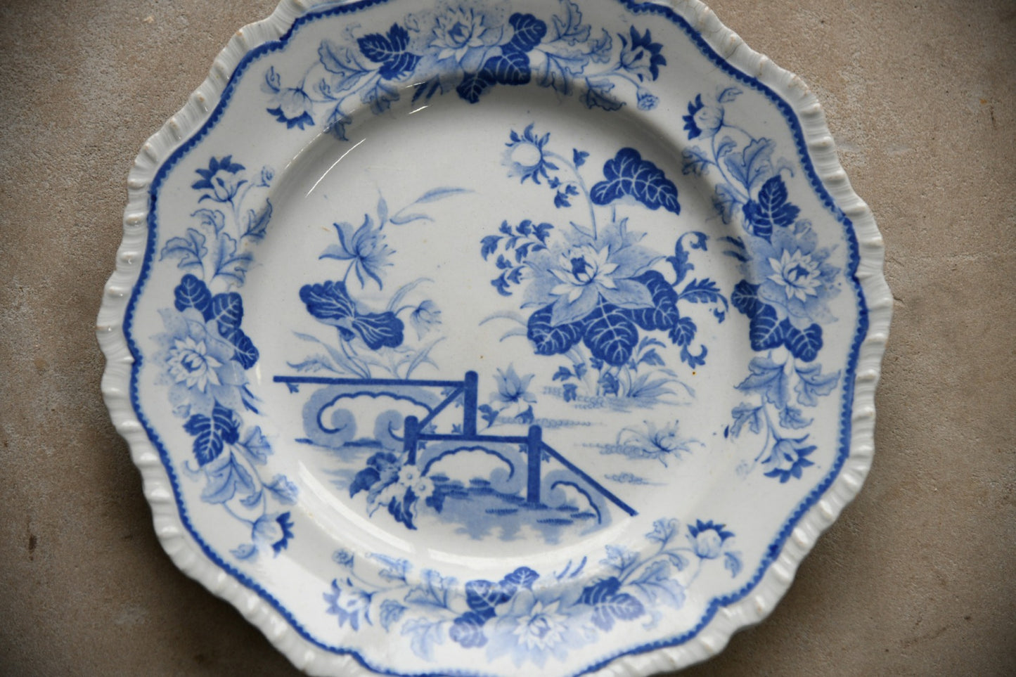 Blue & White Plates