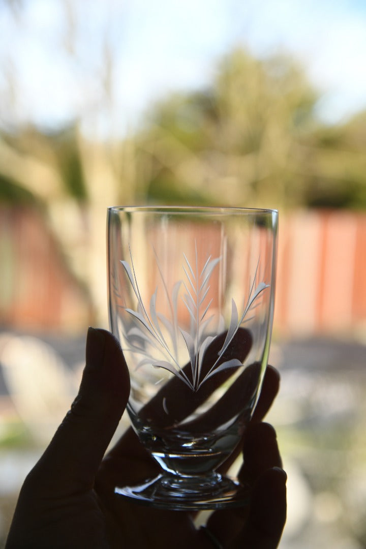 Vintage Etched Glass Water Jug & Glasses