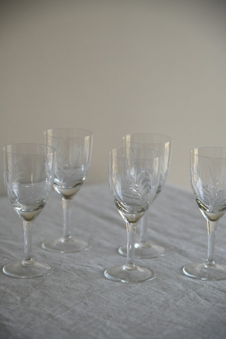 6 Etched Licquer Glasses